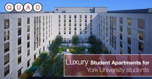 graphic design mississauga